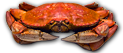 Dungeness Crab Fishing for Open Load & Private Boat Charters